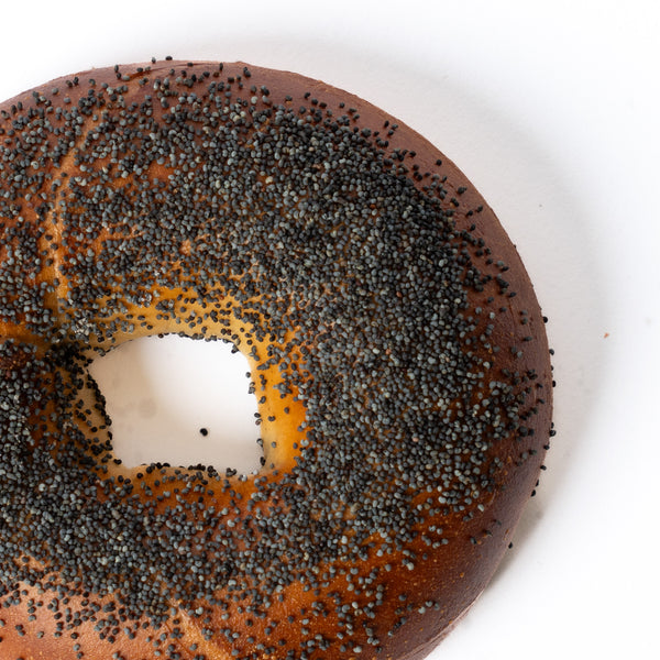 Poppy Seed Bagel